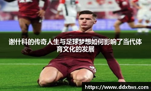 谢什科的传奇人生与足球梦想如何影响了当代体育文化的发展