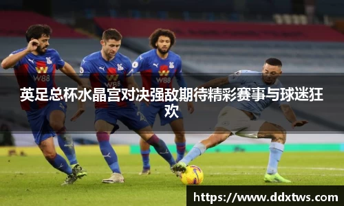 英足总杯水晶宫对决强敌期待精彩赛事与球迷狂欢